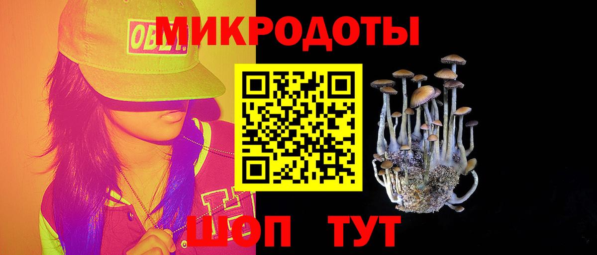 Галлюциногенные грибы прущие грибы  Вход с VPN  Елец  Галлюциногенные грибы прущие грибы 